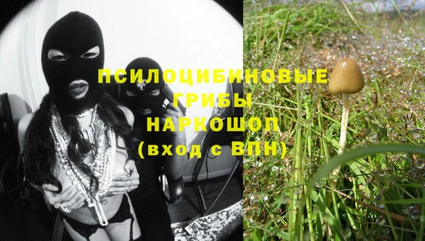 МДПВ Абинск